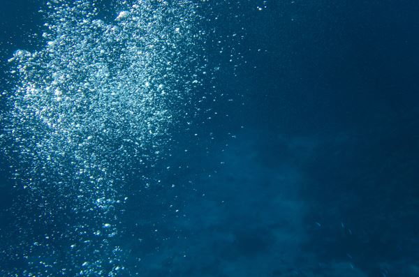 «Первобытный ужас»: что на самом деле скрывается в шотландском озере Лох-Несс