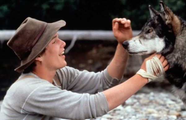 Соцсети взорвал тренд на милых животных на фотографиях