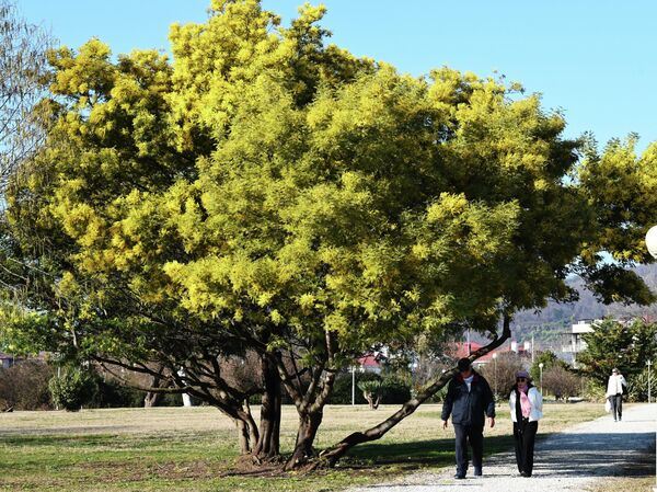 Андрей Литвинов — архитектор 