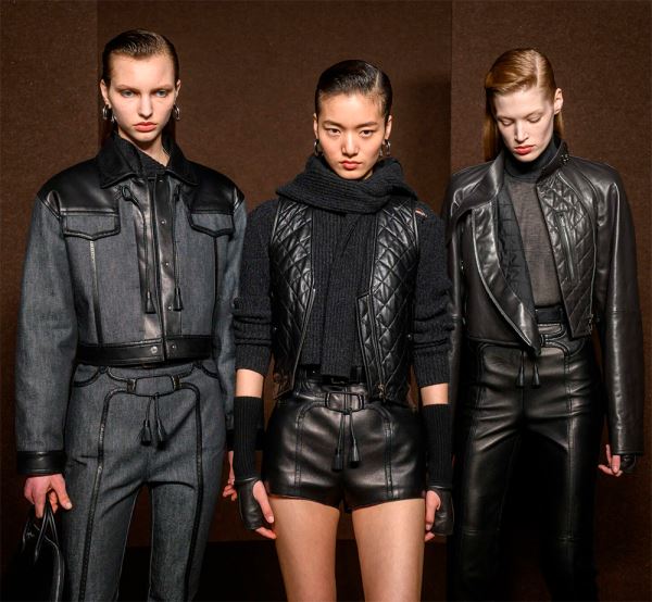 Кожаные платья, юбки, шорты и верхняя одежда 2025-2026