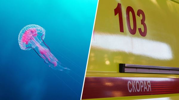 «Мы молились день и ночь»: бабушка погибшего от отравления ядом медузы в Малайзии мальчика рассказала о трагедии