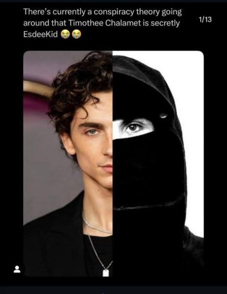 Тимоти Шаламе ведет двойную жизнь – новая фанатская теория