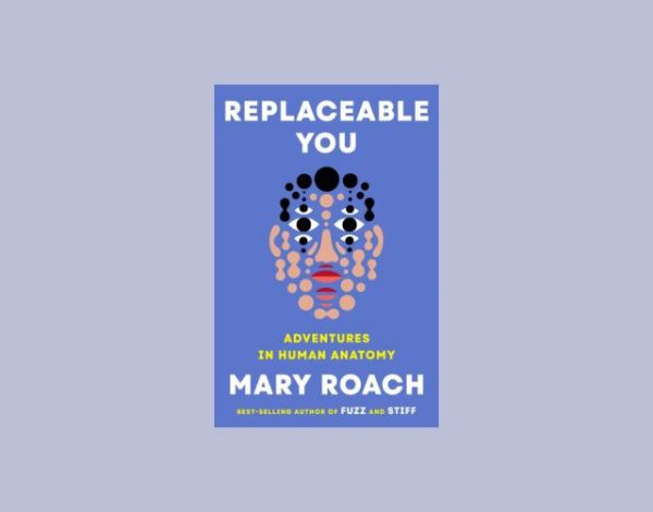 10 книг, которые ты мог пропустить в 2025 году