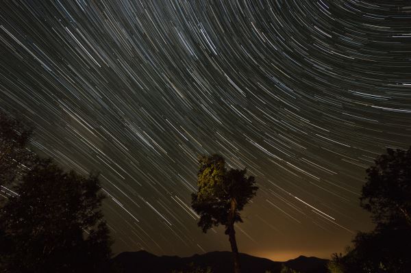 «Событие исключительной редкости»: учёные оценили метеорит, найденный под Новгородом