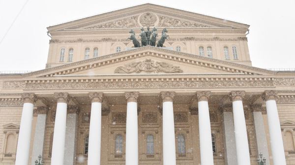 В Госдуме рассказали о мошенниках, продающих билеты на балет 